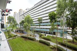 Blk 205 Ang Mo Kio Avenue 1 (Ang Mo Kio), HDB 4 Rooms #521942771